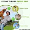 817HjTbydhL._SL1500_.jpg Foodie Puppies 5.5-Inch Interactive Giggle Ball Squeaky Dog Toy for Medium to Large Breeds, Durable Non-Toxic PVC Chew Ball for Stress Relief, IQ Training, Keeps Dogs Happy & Healthy
