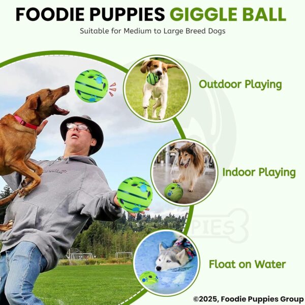 817HjTbydhL._SL1500_.jpg Foodie Puppies 5.5-Inch Interactive Giggle Ball Squeaky Dog Toy for Medium to Large Breeds, Durable Non-Toxic PVC Chew Ball for Stress Relief, IQ Training, Keeps Dogs Happy & Healthy