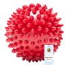 Foodie Puppies Natural Rubber Spike Ball - 2.8inch/ 7cm | Foodie Puppies Natural Rubber Spike Ball - 2.8inch/ 7cm | Suitable for Small to Medium Dogs and Puppies | Chewing, Teething, and Training Bouncy Ball Toy