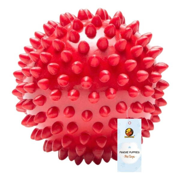 Foodie Puppies Natural Rubber Spike Ball - 2.8inch/ 7cm | Foodie Puppies Natural Rubber Spike Ball - 2.8inch/ 7cm | Suitable for Small to Medium Dogs and Puppies | Chewing, Teething, and Training Bouncy Ball Toy