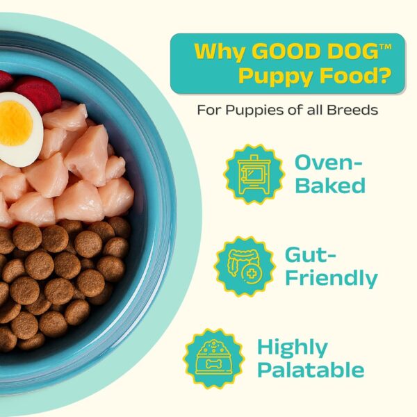 817dfXwS-NL._SL1500_.jpg Good Dog Puppy Dry Dog Food | Oven Baked | Fresh Chicken & Eggs | 1.3 kg | Palatable Meal for Healthy Growth, Strong Bones, Immunity & Digestion | Nutritionally Crafted & Suitable for All Breeds