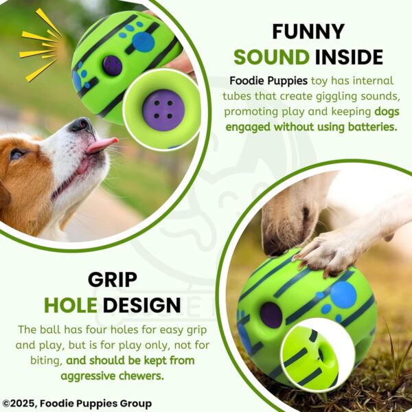 817ea6gUGFL._SL1500_.jpg Foodie Puppies 5.5-Inch Interactive Giggle Ball Squeaky Dog Toy for Medium to Large Breeds, Durable Non-Toxic PVC Chew Ball for Stress Relief, IQ Training, Keeps Dogs Happy & Healthy