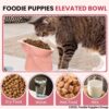 817rdojxRzL._SL1500_.jpg Foodie Puppies Elevated Bowl Feeder Food Water for Cats, Kittens & Puppies (Set of 2) Persian Cat Food Bowl Tilted Raised Bowl (Color May Vary) Plastic, ?15L x 13.5W x 11.5H cms