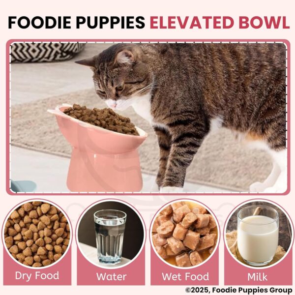 817rdojxRzL._SL1500_.jpg Foodie Puppies Elevated Bowl Feeder Food Water for Cats, Kittens & Puppies (Set of 2) Persian Cat Food Bowl Tilted Raised Bowl (Color May Vary) Plastic, ?15L x 13.5W x 11.5H cms