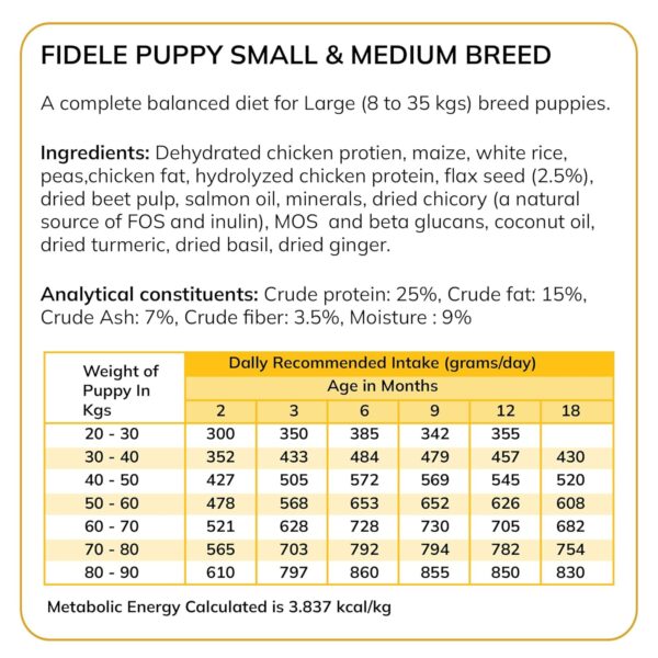 Fidele+ Dry Dog Food 1 Kg Large Breed Puppies Complete & Balanced Diet Supports Growth, Energy, Joints & Immunity No Artificial Flavours, Preservatives