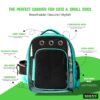 Buraq Breathable Design Pet Carrier Backpack for Hot Weather Travel, Hiking, Ventilated, Touring, Airline-Approved, Sturdy Base cat Bag for Cats Kitten Puppy (Black, Transpicuous See-Through)