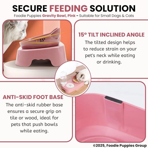 818tpFb-w3L._SL1500_.jpg Foodie Puppies Gravity Cat Food and Water Bowl Set - (Pink) | 2in1 Automatic Drinking Flowing Water and Food Bowl | Detachable Elevated Cat Bowl Stand Wet and Dry Food Bowl for Cats & Small Dogs