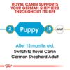 Royal Canin German Shepherd Puppy Food, 1 Kg, Dry Food, Supports Immune System & digestive health, Promotes Bone & Joint Health