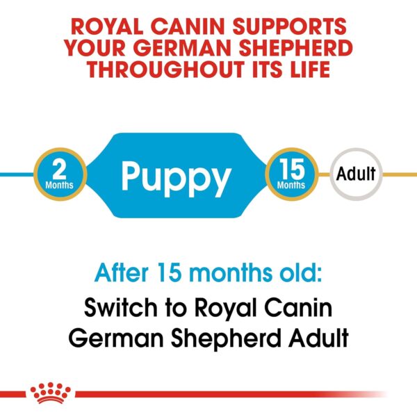 Royal Canin German Shepherd Puppy Food, 1 Kg, Dry Food, Supports Immune System & digestive health, Promotes Bone & Joint Health