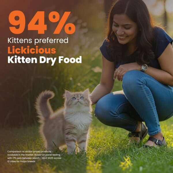 Kitten Food Dry 1kg | Ocean Fish and Chicken Flavour | 6 in 1 Growth Formula for Cat | High Protein & Taurine | For Strong Bones & Teeth, Healthy Heart, Sharp Vision, Soft Skin & Shiny Coat