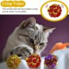 819NFV4ygrL._SL1500_.jpg KUTKUT 12Pcs Crinkle Balls for Cats, Shiny and Stress Buster Crinkler, Suitable for Multiple Cats' Play, Ideal for Kittens and Grown-up Cats