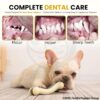 Foodie Puppies Durable Nylon Bone with Treat Chew Toy for Dogs (Arched Treat Bone - Medium) 13 cm | Non-Toxic, Safe & Long-Lasting | Ideal for Teething, Training & Aggressive Chewers of All Breeds