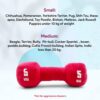 819aLimux4L._SL1500_.jpg Goofy Tails Gym Series Dumbbell Plush Toy for Dogs | Squeaky Toy for Dogs and Puppies | Great for Playing Fetch and Retrieve (Red)