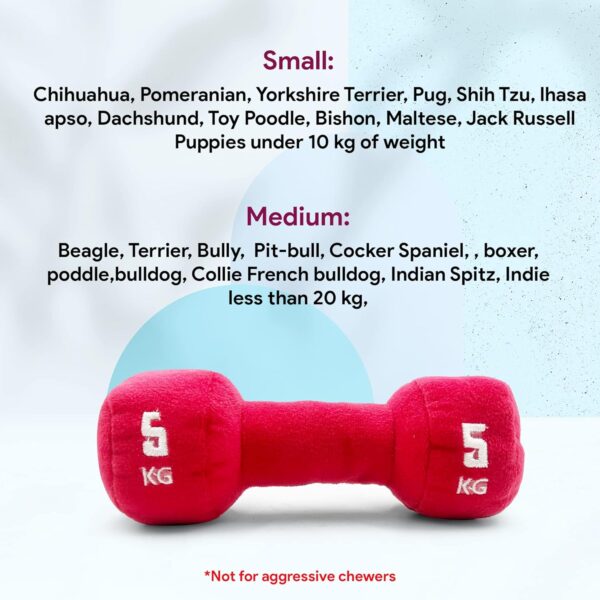 819aLimux4L._SL1500_.jpg Goofy Tails Gym Series Dumbbell Plush Toy for Dogs | Squeaky Toy for Dogs and Puppies | Great for Playing Fetch and Retrieve (Red)