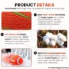 Foodie Puppies Interactive Latex Squeaky Chew Toy for Small to Medium Dogs (Teeth Rugby - Large) | Durable, Non-Toxic, Soft, Floating, Bouncing Pet Toy I Reduce Separation Anxiety (Design May Vary)