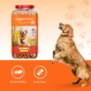 81BCuFmQmeL._SL1500_.jpg Amazon Basics Dog Biscuits for All Breeds | 1 kg (Pack of 2) | for All Life Stages