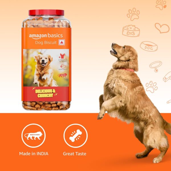 81BCuFmQmeL._SL1500_.jpg Amazon Basics Dog Biscuits for All Breeds | 1 kg (Pack of 2) | for All Life Stages