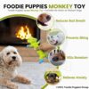 Foodie Puppies Interactive Latex Squeaky Chew Dog Toy - (Green Monkey, 20cm) | Small to Medium Dogs & Puppies | Durable, Rubber, Non-Toxic, Animal Design Playing & Fetching Pet Toy | Reduce Anxiety
