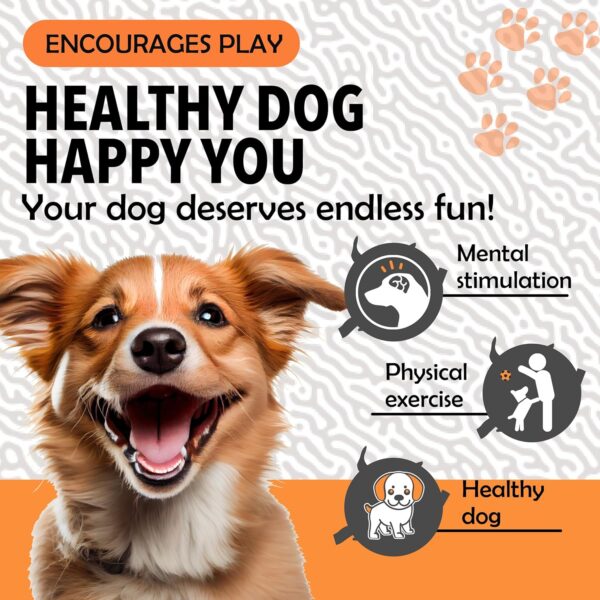 Synco Dog Football Black & White with Orange Holding Loops | Dog Balls for Large Breed | Pet Toys for Dogs | Dog Ball for Adult Dogs | Rubber Pet Balls | Suitable for All Dog Breeds & Sizes | Size- 3