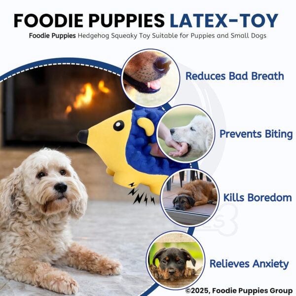 Foodie Puppies Interactive Non-Toxic Soft Latex Squeaky Chew Toy for Puppies and Small Dogs (Hedgehog - Small) | Chewing, Floating, Training, and Bouncing | Reduce Separation Anxiety