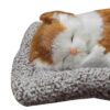 Tickles Sleeping Cat On Carpet Silicone Animal Toy for Kids Car Dashboard & Office Desk (Color: Orange & White Size: 8 cm)