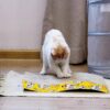 Emily Pets Cat Scratcher Cardboard 2 in 1 Reversible Scratching Pad Recyclable Corrugated Scratch Toy with Wave Shape & 10ML Catnip Cat Scratch Lounge for Furniture Protection Scratch Board