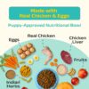 81BvbxurjL._SL1500_.jpg Good Dog Puppy Dry Dog Food | Oven Baked | Fresh Chicken & Eggs | 1.3 kg | Palatable Meal for Healthy Growth, Strong Bones, Immunity & Digestion | Nutritionally Crafted & Suitable for All Breeds