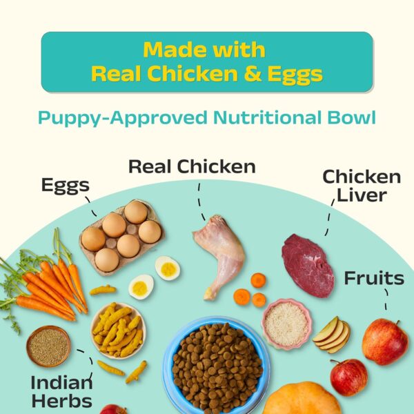 81BvbxurjL._SL1500_.jpg Good Dog Puppy Dry Dog Food | Oven Baked | Fresh Chicken & Eggs | 1.3 kg | Palatable Meal for Healthy Growth, Strong Bones, Immunity & Digestion | Nutritionally Crafted & Suitable for All Breeds