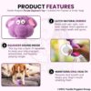 81CV0g8XAjL._SL1500_.jpg Foodie Puppies Natural Latex Rubber Squeaky Chew Toy - (Purple Elephant, 12cm), Suitable for Puppy, X-Small to Small Dogs | Durable, Animal Design, Fetch & Chew Toy