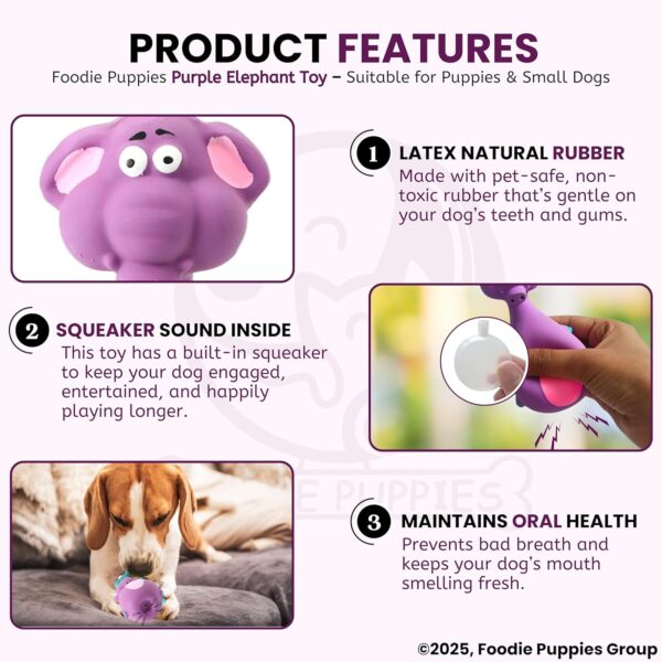 81CV0g8XAjL._SL1500_.jpg Foodie Puppies Natural Latex Rubber Squeaky Chew Toy - (Purple Elephant, 12cm), Suitable for Puppy, X-Small to Small Dogs | Durable, Animal Design, Fetch & Chew Toy