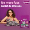 81CbOcHADZL._SL1500_.jpg Whiskas Adult (1+ Years) Dry Cat Food, Tuna Flavour, 3 kg, Contains 41 Essential Nutrients, Complete & Balanced Nutrition for Adult Cats