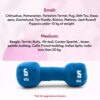 81CruZB55JL._SL1500_.jpg Goofy Tails Gym Series Dumbbell Plush Toy for Dogs | Squeaky Toy for Dogs and Puppies | Great for Playing Fetch and Retrieve(Blue)