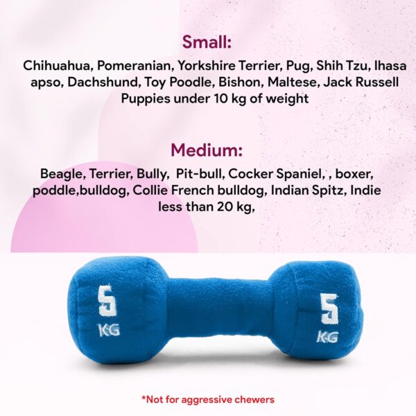 81CruZB55JL._SL1500_.jpg Goofy Tails Gym Series Dumbbell Plush Toy for Dogs | Squeaky Toy for Dogs and Puppies | Great for Playing Fetch and Retrieve(Blue)