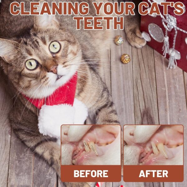 Catnip Toys for Cats, 2PCS Kitten Toys with Catnip, Catnips Cat Toys for Indoor Cats & Kittens, Interactive Plush Caterpillar & Fish, Teething Relief & Boredom Buster, Natural Catnips Attraction