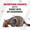 81DyLAEvtlL._SL1500_.jpg Luvin Artisanally Baked Premium Dry Cat Food - 1.5Kg | Cat & Kitten 6m+ | Digestive Care Optimal Growth Formula for All Life Stages