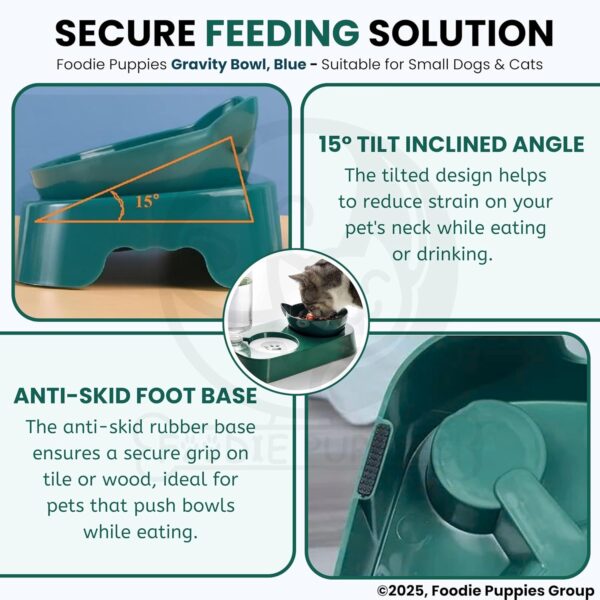 81E3UAJHNAL._SL1500_.jpg Foodie Puppies 2 in 1 Pet Gravity Feeder Food Bowl and Water Bottle Set- (Green), with Automatic Water Dispenser Bottle, Detachable Tilted Raised Food Bowl for Puppy, Small Dogs Cats and Kittens