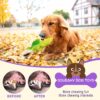 81ERkXngU1L._SL1500_.jpg Sage Square Durable, Interactive Dog Squeaky Crocodile Toy with Built-in Squeaker for Tugging, Fetching and Cleaning Teeth. Suitable, Keeps Dogs Happy (Random Colour)