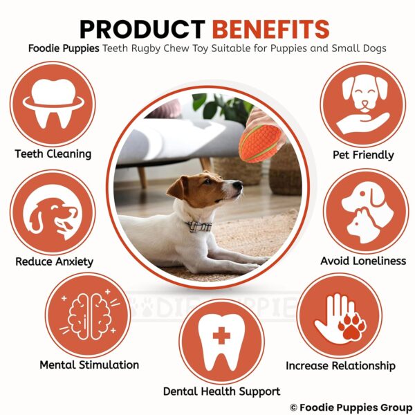 Foodie Puppies Interactive Latex Squeaky Chew Toy for Small to Medium Dogs (Teeth Rugby - Large) | Durable, Non-Toxic, Soft, Floating, Bouncing Pet Toy I Reduce Separation Anxiety (Design May Vary)