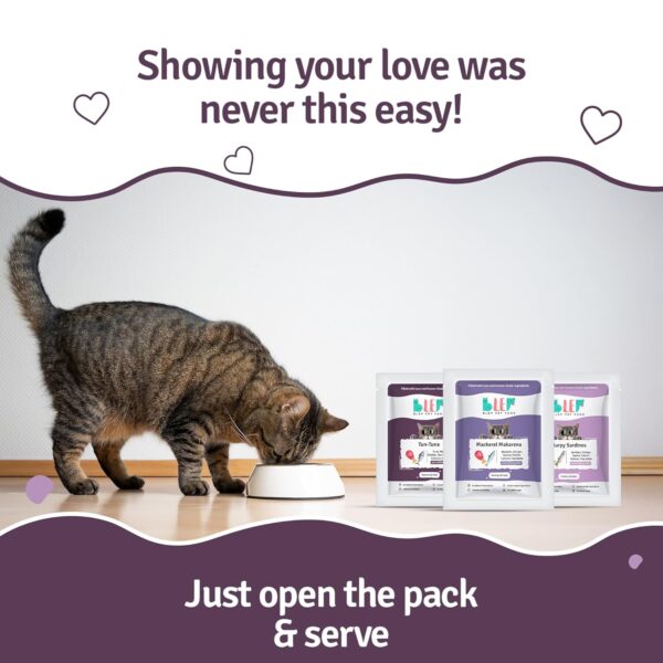 81Ec43O63eL._SL1500_.jpg BLEP Mackerel Tun Tuna and Sardine Combo of Natural Cat Food 100g | 3 Packs|Zero Preservatives|Aids Joint Health & Digestion|Collagen Rich| Human Grade, Natural Wet Cat Food|Ideal for All Breeds
