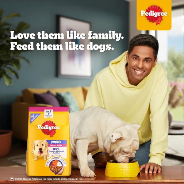 Pedigree Puppy Dry Dog Food, Chicken & Milk, 20 kg, Contains 37 Essential Nutrients, 100% Complete & Balanced Food for Puppies