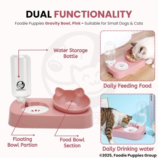 81FH75SJG2L._SL1500_.jpg Foodie Puppies Gravity Cat Food and Water Bowl Set - (Pink) | 2in1 Automatic Drinking Flowing Water and Food Bowl | Detachable Elevated Cat Bowl Stand Wet and Dry Food Bowl for Cats & Small Dogs