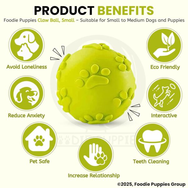 81FX2Nh0MLL._SL1500_.jpg Foodie Puppies Latex Rubber Squeaky Dog Chew Ball Toy - (Claw Ball, Small) Durable and Safe Fetch Teething Dog Toy for Puppies and Small to Medium Dogs, Paw Design Helps to Clean Teeth (Diameter, 6cm)