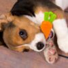 Goofy Tails Dog Toys, Veggie Series Carrot Squeaky Chew Toys for Dogs & Puppies, Squeaky Toys for Dogs, Small & Medium Breeds