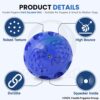 81H0yjf3O0L._SL1500_.jpg Foodie Puppies Hard Squeeze Squeaky Ball Dog Toy | Squeaker, Lightweight, Durable and Water Resistant | Interactive Fetch Toys for Puppy, Dog Chew Toys (Color May Vary) (Medium)