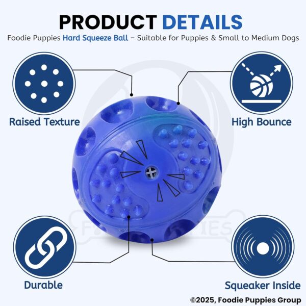 81H0yjf3O0L._SL1500_.jpg Foodie Puppies Hard Squeeze Squeaky Ball Dog Toy | Squeaker, Lightweight, Durable and Water Resistant | Interactive Fetch Toys for Puppy, Dog Chew Toys (Color May Vary) (Medium)