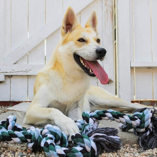 81HCs3O1OL._SL1500_.jpg Foodie Puppies Cotton Chew Rope Dog Toy Large with 6 Knot Thick Chew, Long for Aggressive chewers - Extra Durable - Heavy Duty - Washable (Color May Vary)