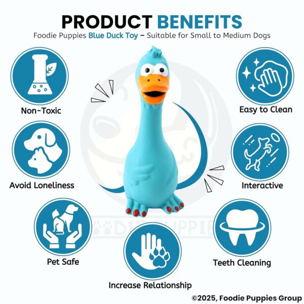81HMfB-tvRL._SL1500_.jpg Foodie Puppies Natural Latex Rubber Squeaky Dog Toy - (Blue Duck) | Small Dogs & Puppy | Durable, Animal Design, Fetch & Chew Safe Play Toy | Reduce Separation Anxiety