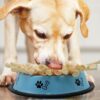 81HeA4zlEZL._SL1500_.jpg ADB Creations Dog Food Chew Stick Milky Rawhide Calcium Twisted Munchie Treats Nutritional Benefits Strengthen Bones and Teeth for All Breeds Dogs and All Life Stages (400 gram)