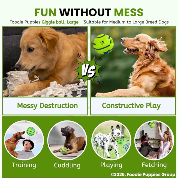 81HesATkfUL._SL1500_.jpg Foodie Puppies 5.5-Inch Interactive Giggle Ball Squeaky Dog Toy for Medium to Large Breeds, Durable Non-Toxic PVC Chew Ball for Stress Relief, IQ Training, Keeps Dogs Happy & Healthy