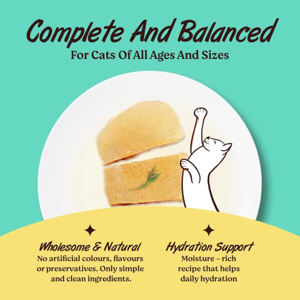 Kennel Kitchen Tuna in Jelly,12 x 80g Each. Grain Free Wet Cat Food for Adults and Kittens,